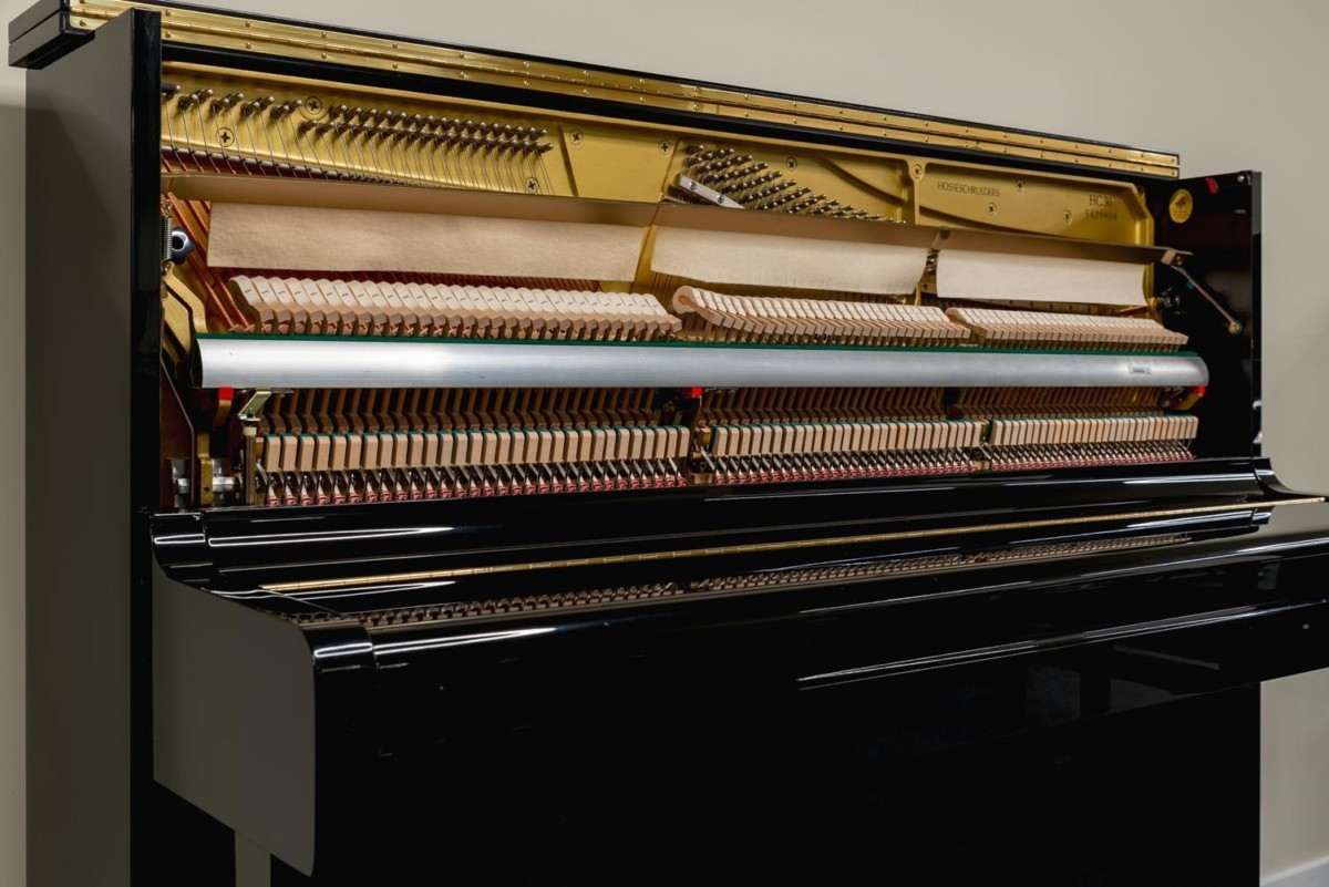 HOSSESCHRUEDERS-5429808 vista general mecánica piano martillos cuerdas clavijas clavijero sordina