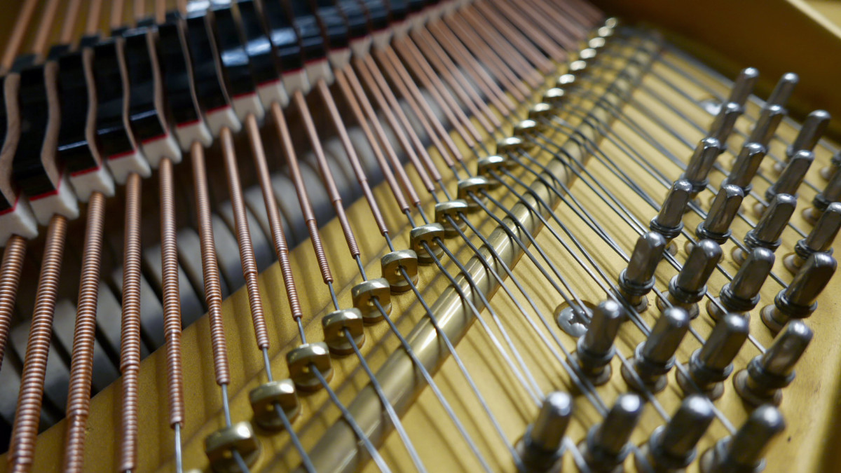 piano de cola Schimmel 150 #201910 bordones cuerdas apagadores agrafes