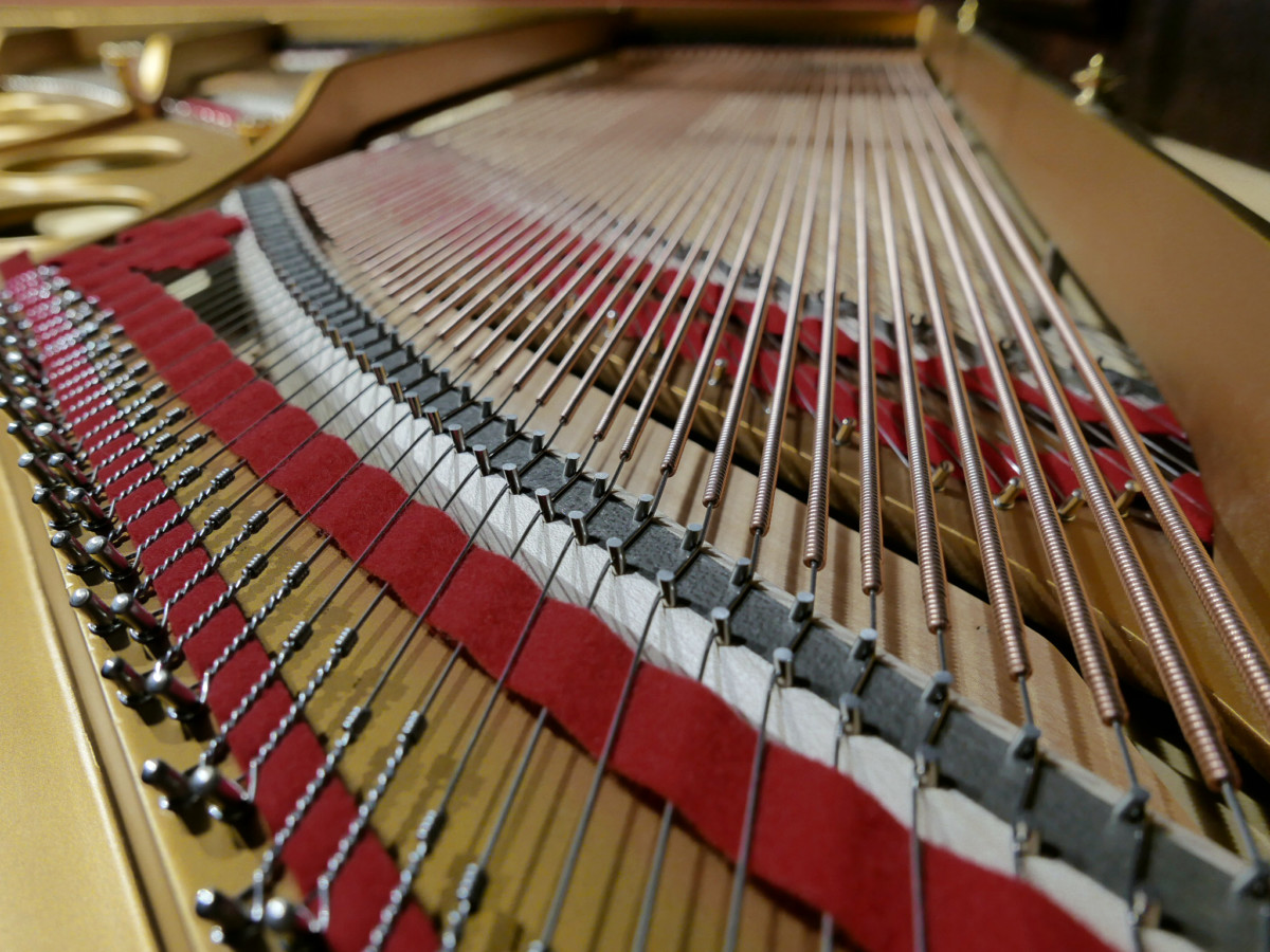 piano de cola Steinway & Sons O180 #109477 detalle vista trasera cuerdas fieltros