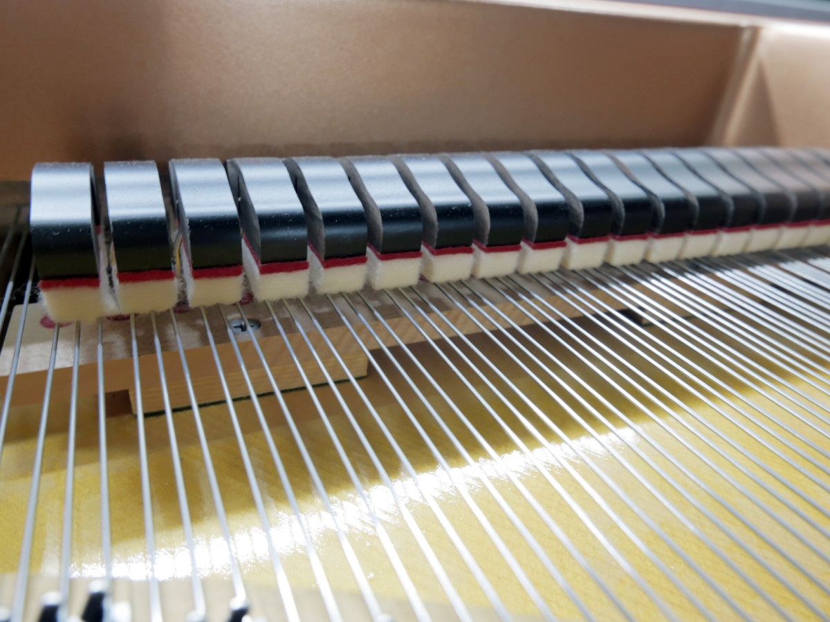 piano de cola Yamaha C7 #6182478 apagadores cuerdas