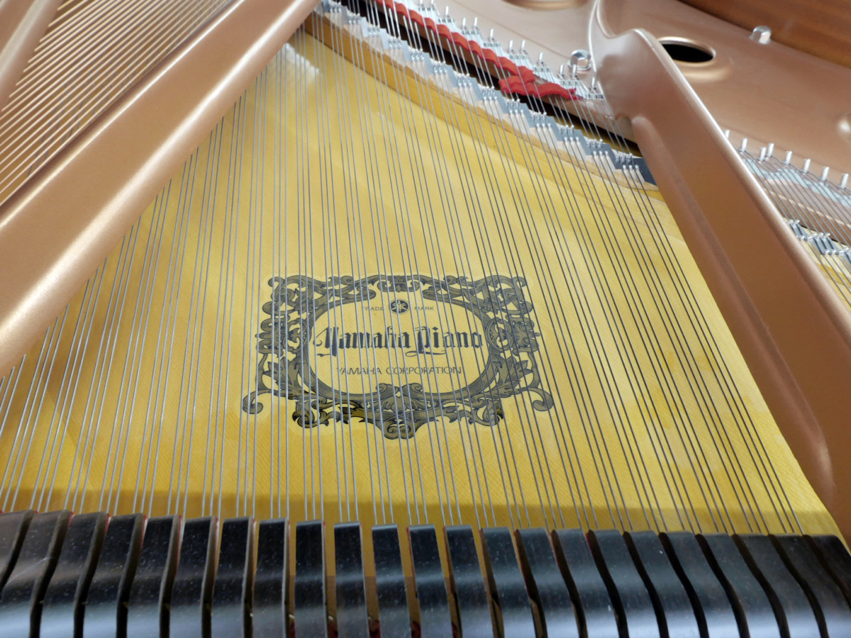 piano de cola Yamaha C7 #6182478 tabla armonica cuerdas apagadores