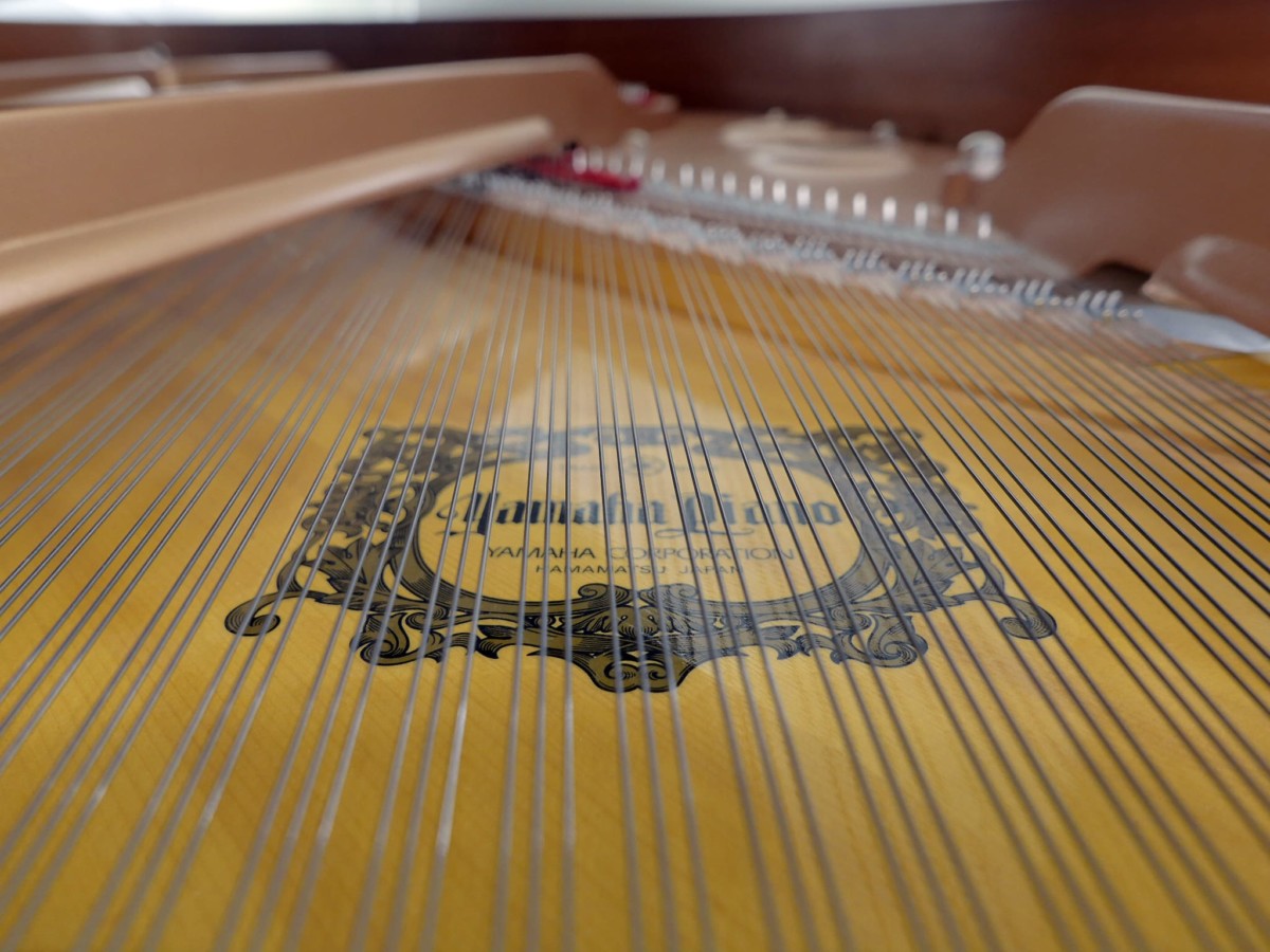 piano de cola Yamaha C3 #5548888 detalle cuerdas tabla armonica