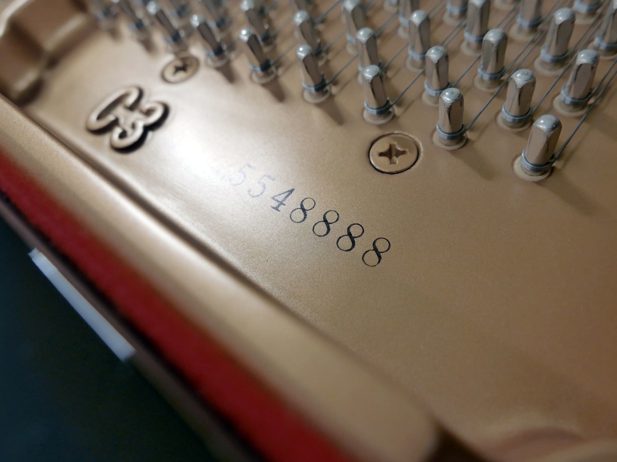 piano de cola Yamaha C3 #5548888 numero de serie modelo clavijero