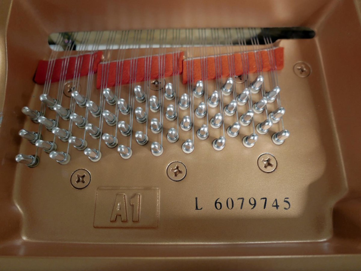 piano de cola Yamaha A1 #6079745 plano cenital numero de serie modelo clavijero clavijas