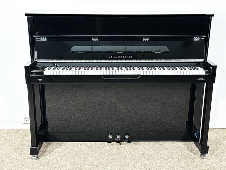 Johannes Seiler GS114 #179441 frontal abierto