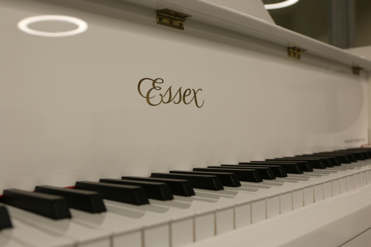 piano-cola-essex-egp155 c-4270539-blanco-logo