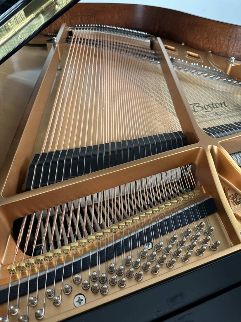 BOSTON GP-163 PEII 207056 bordones