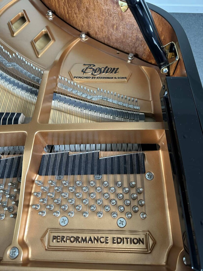 BOSTON GP-163 PEII 207056 clavijero