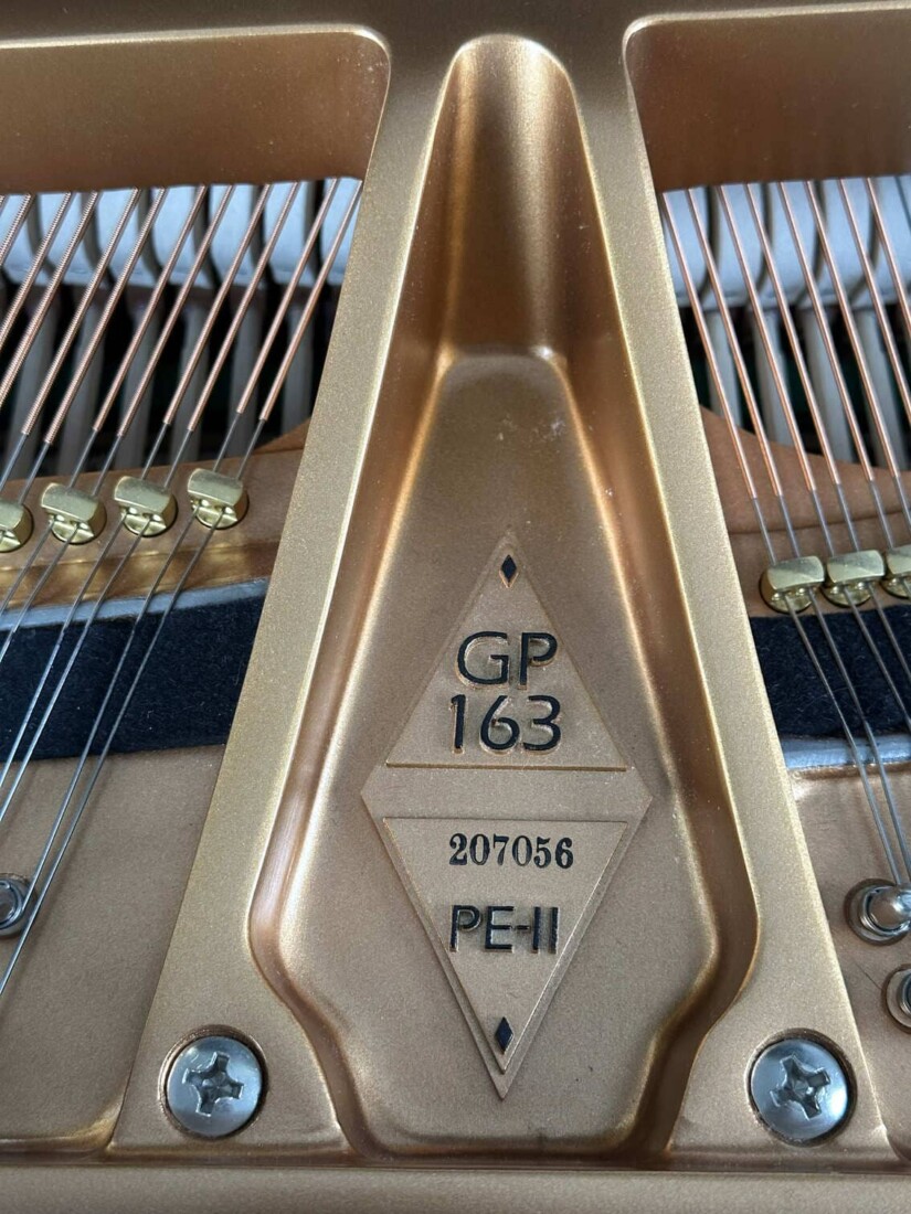 BOSTON GP-163 PEII 207056 numero de serie