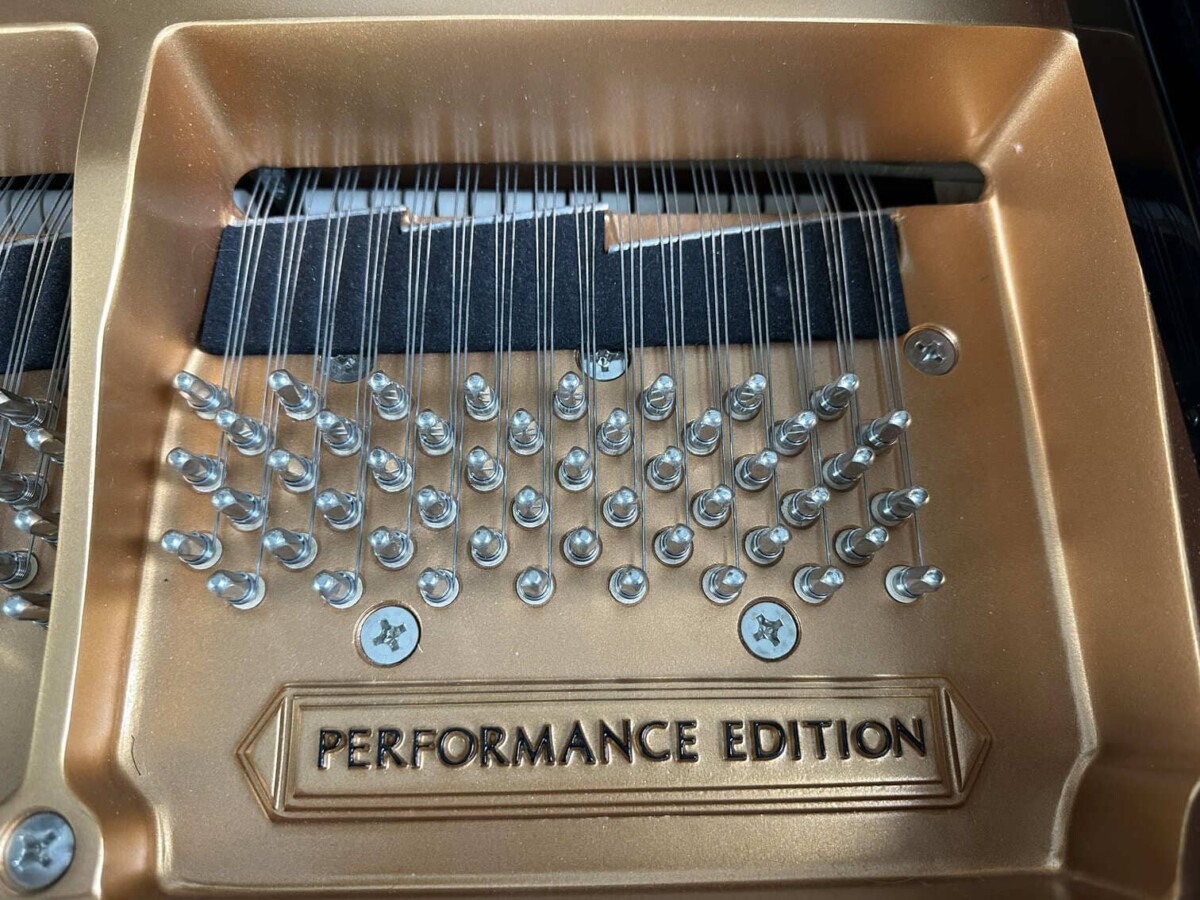 BOSTON GP-163 PEII 207056 performance edition